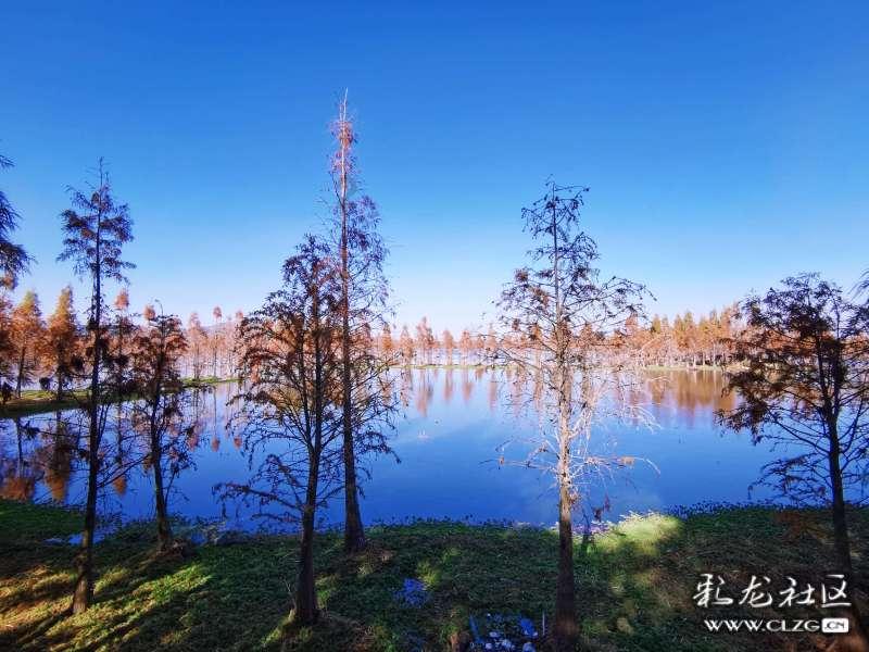 大寒 | 冬迎风月阵阵寒 润心相伴温如春 能源与您共赴温暖