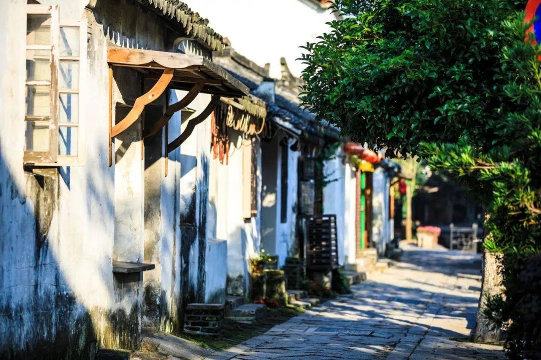 微软将从windows11系统中移除wmic