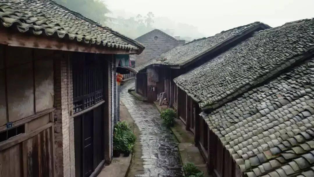 拯救小松鼠